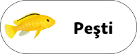 Fressnapf Romania