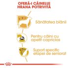 Royal Canin Yorkshire Adult Hrană uscată pentru câini 1,5 kg