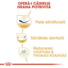Royal Canin Shih Tzu Adult Hrană uscată pentru câini 1,5 kg