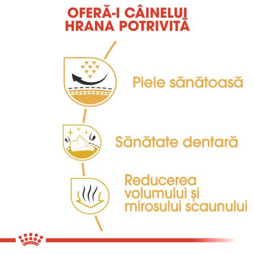 Royal Canin Shih Tzu Adult Hrană uscată pentru câini 1,5 kg