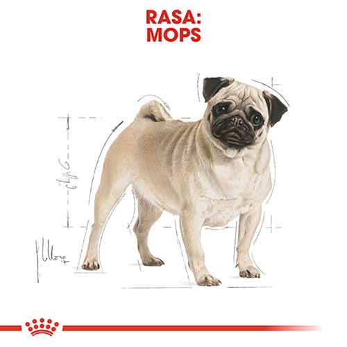 Royal Canin Pug Adult Hrană uscată pentru câini 1,5 kg