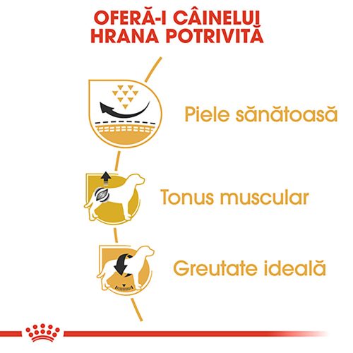 Royal Canin Pug Adult Hrană uscată pentru câini 1,5 kg
