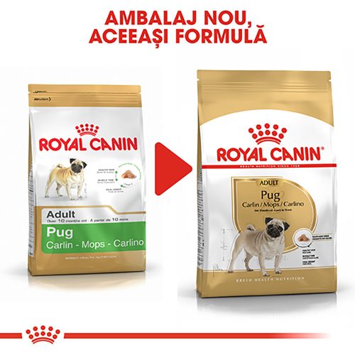 Royal Canin Pug Adult Hrană uscată pentru câini 1,5 kg