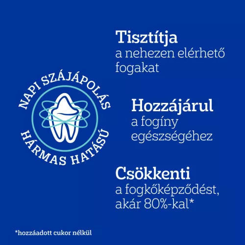 Pedigree DentaStix batoane dentare pentru câini de talie mare 270 g