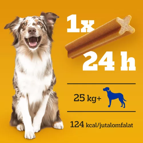 Pedigree DentaStix batoane dentare pentru câini de talie mare 270 g