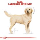 Royal Canin Labrador Adult Hrană uscată pentru câini 12 kg