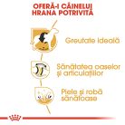 Royal Canin Labrador Adult Hrană uscată pentru câini 12 kg