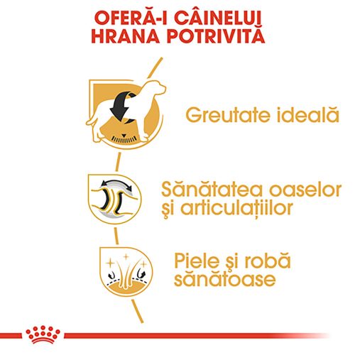 Royal Canin Labrador Adult Hrană uscată pentru câini 12 kg