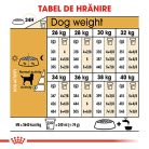 Royal Canin Labrador Adult Hrană uscată pentru câini 12 kg