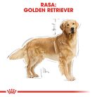 Royal Canin Golden Retriever Adult Hrană uscată pentru câini 12 kg