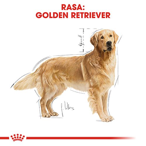Royal Canin Golden Retriever Adult Hrană uscată pentru câini 12 kg