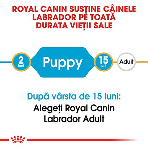 Royal Canin Labrador Puppy Hrană uscată pentru câini 12 kg