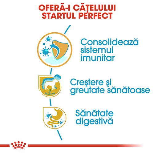 Royal Canin Labrador Puppy Hrană uscată pentru câini 12 kg