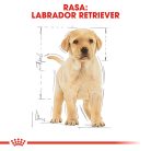 Royal Canin Labrador Puppy Hrană uscată pentru câini 12 kg