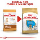 Royal Canin Labrador Puppy Hrană uscată pentru câini 12 kg