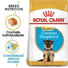 Royal Canin German Shepherd Puppy Hrană uscată pentru câini junnior 12 kg 