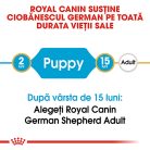 Royal Canin German Shepherd Puppy Hrană uscată pentru câini junnior 12 kg 