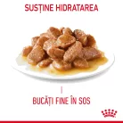 Royal Canin Hair & Skin Pliculețe pentru pisici 85 g