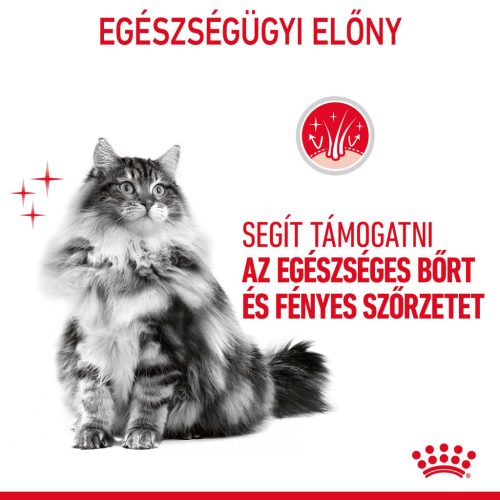 Royal Canin Hair & Skin Pliculețe pentru pisici 85 g