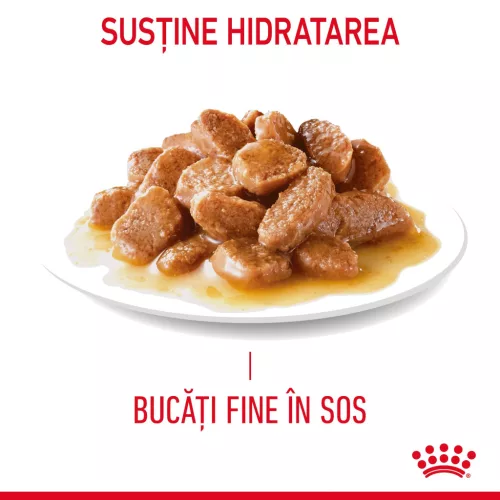 Royal Canin Hair & Skin Pliculețe pentru pisici 85 g