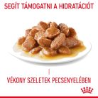 Royal Canin Hair & Skin Pliculețe pentru pisici 85 g