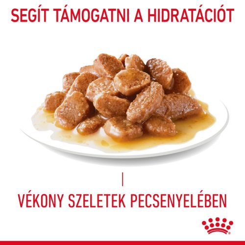 Royal Canin Hair & Skin Pliculețe pentru pisici 85 g