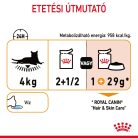 Royal Canin Hair & Skin Pliculețe pentru pisici 85 g