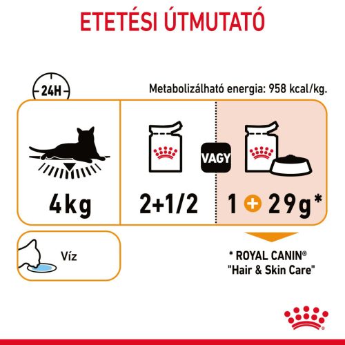 Royal Canin Hair & Skin Pliculețe pentru pisici 85 g
