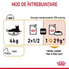 Royal Canin Hair & Skin Pliculețe pentru pisici 85 g