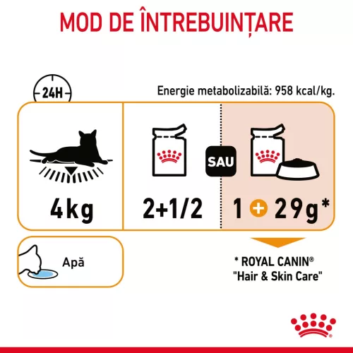 Royal Canin Hair & Skin Pliculețe pentru pisici 85 g