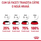 Royal Canin Hair & Skin Pliculețe pentru pisici 85 g