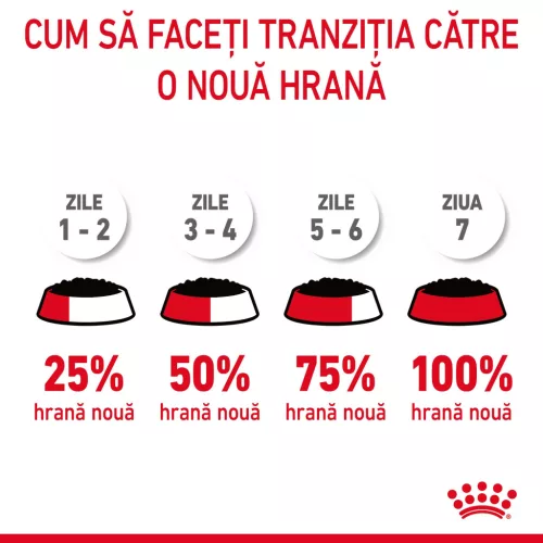 Royal Canin Hair & Skin Pliculețe pentru pisici 85 g