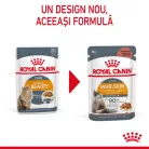 Royal Canin Hair & Skin Pliculețe pentru pisici 85 g