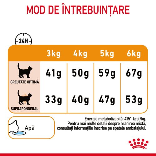 Royal Canin Hair & Skin Care Adult Hrană uscată pentru pisici 400 g