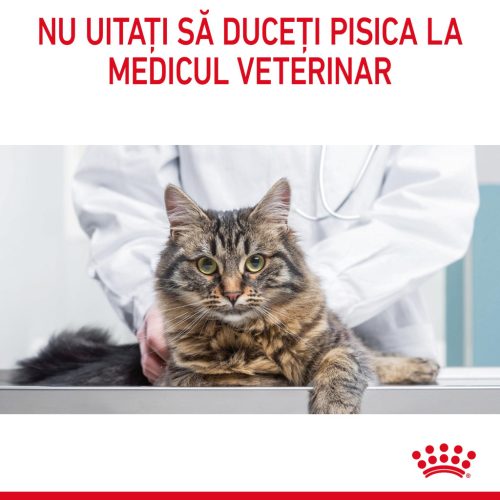 Royal Canin Hairball Care Adult Hrană uscată pentru pisici 400 g 