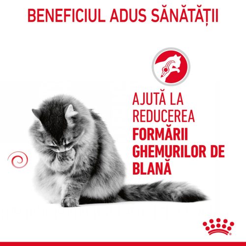 Royal Canin Hairball Care Adult Hrană uscată pentru pisici 400 g 