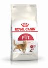 Royal Canin Fit32 Adult Hrană uscată pentru pisici cu activitate fizică moderată 400 g