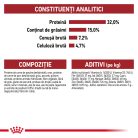 Royal Canin Fit32 Adult Hrană uscată pentru pisici cu activitate fizică moderată 400 g