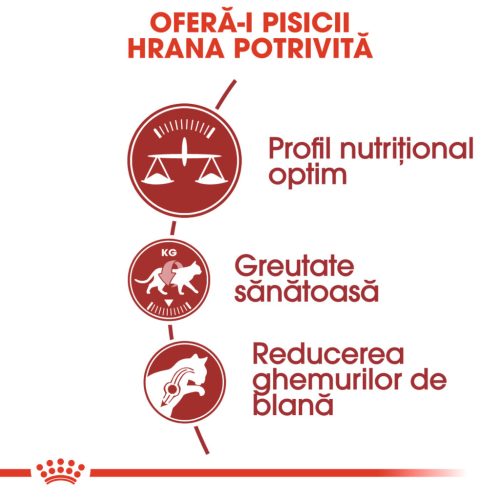 Royal Canin Fit32 Adult Hrană uscată pentru pisici cu activitate fizică moderată 400 g