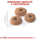 Royal Canin Fit32 Adult Hrană uscată pentru pisici cu activitate fizică moderată 400 g