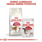 Royal Canin Fit32 Adult Hrană uscată pentru pisici cu activitate fizică moderată 400 g