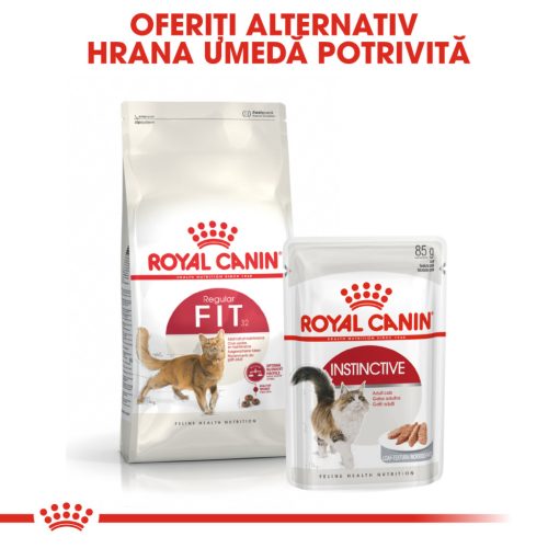 Royal Canin Fit32 Adult Hrană uscată pentru pisici cu activitate fizică moderată 400 g