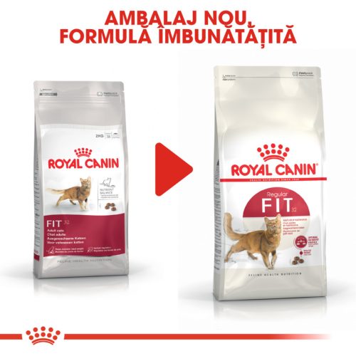 Royal Canin Fit32 Adult Hrană uscată pentru pisici cu activitate fizică moderată 400 g