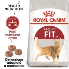 Royal Canin Fit32 Adult Hrană uscată pentru pisici cu activitate fizică moderată 400 g