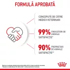 Royal Canin Mother & BabyCat Hrană uscată pentru pisici, mama și puiul 400 g