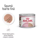 Royal Canin Mother & BabyCat Hrană uscată pentru pisici, mama și puiul 400 g