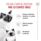 Royal Canin Mother & BabyCat Hrană uscată pentru pisici, mama și puiul 400 g