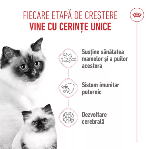 Royal Canin Mother & BabyCat Hrană uscată pentru pisici, mama și puiul 400 g