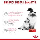 Royal Canin Mother & BabyCat Hrană umedă pentru pisici, mama și puiul 400 g
