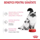 Royal Canin Mother & BabyCat Hrană uscată pentru pisici, mama și puiul 400 g